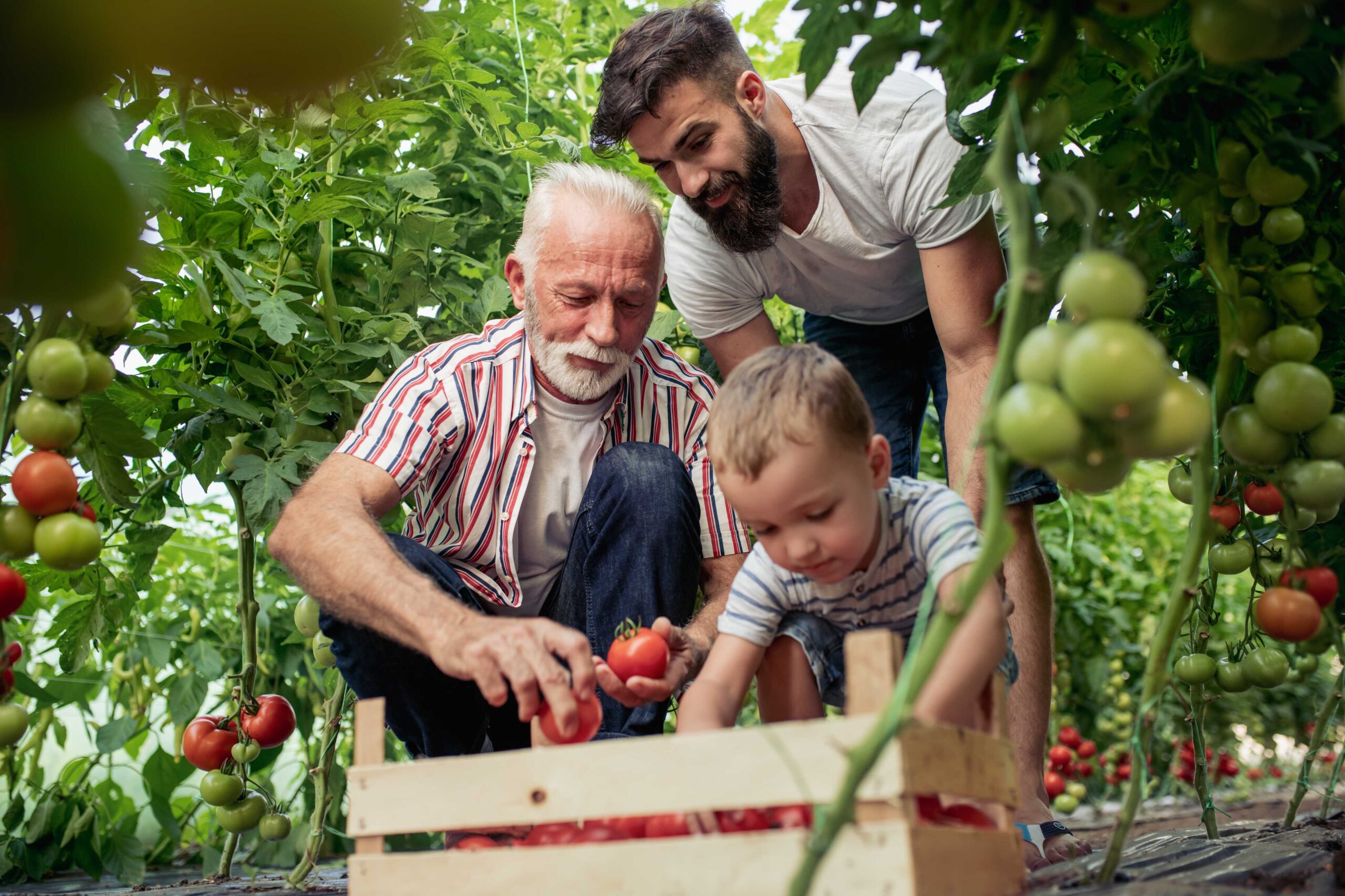 tips voor familiebedrijven